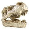 Gold T-Rex Fossil Head, 6" -Karaca House Shop gold t rex fossil head 6
