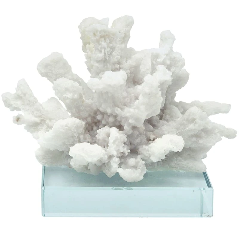 White Coral Figurine On Glass Base, 5" 3 White Coral Figurine On Glass Base, 5"